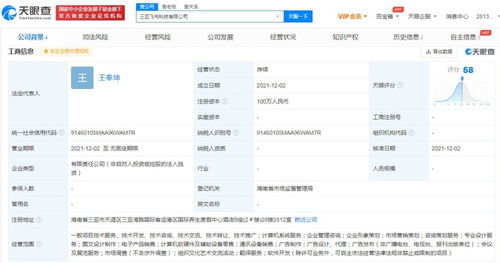 北京网络技术服务 数字化浪潮下的创新引擎