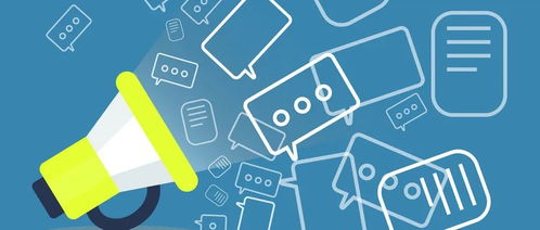 北京市知识产权局网站集约化迁移及运维项目软件运维服务采购竞争性磋商公告解读