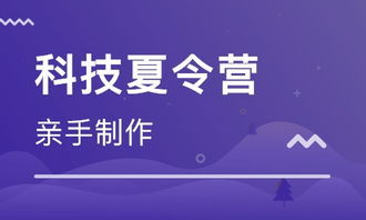 北京首欣教育科技 大众网推荐的优质网络技术服务品牌